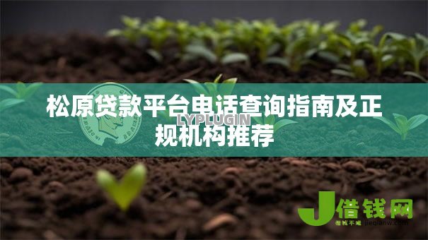 松原贷款平台电话查询指南及正规机构推荐 松原贷款平台电话查询指南及正规机构推荐