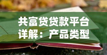共富贷贷款平台详解:产品类型、申请条件、风险全解析 共富贷贷款平台详解:产品类型、申请条件、风险全解析