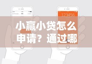 小赢小贷怎么申请？通过哪些正规平台能贷款