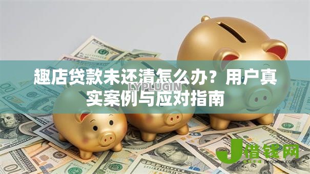 趣店贷款未还清怎么办?用户真实案例与应对指南 趣店贷款未还清怎么办?用户真实案例与应对指南