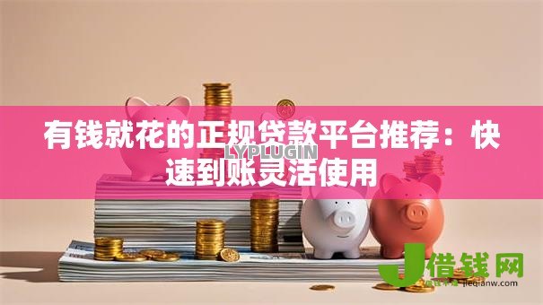 有钱就花的正规贷款平台推荐：快速到账灵活使用