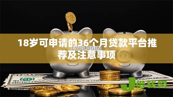 18岁可申请的36个月贷款平台推荐及注意事项