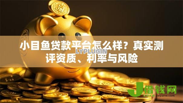 小目鱼贷款平台怎么样?真实测评资质、利率与风险 小目鱼贷款平台怎么样?真实测评资质、利率与风险