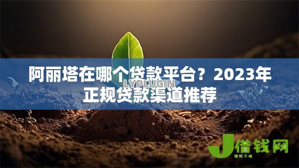 阿丽塔在哪个贷款平台？2023年正规贷款渠道推荐