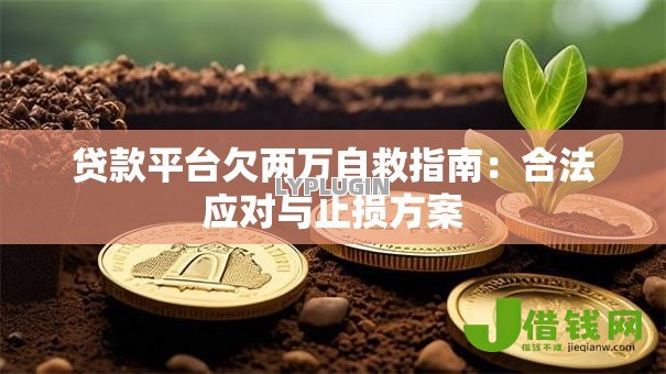 贷款平台欠两万自救指南：合法应对与止损方案