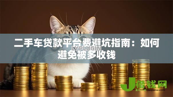 二手车贷款平台费避坑指南：如何避免被多收钱