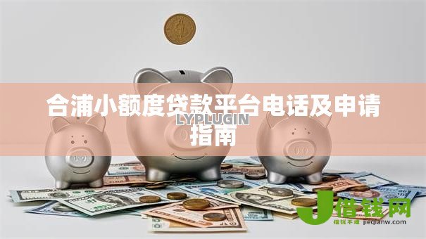 合浦小额度贷款平台电话及申请指南