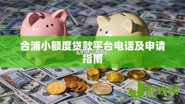 合浦小额度贷款平台电话及申请指南