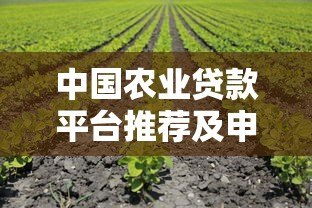 中国农业贷款平台推荐及申请攻略:助农资金轻松获取 中国农业贷款平台推荐及申请攻略:助农资金轻松获取
