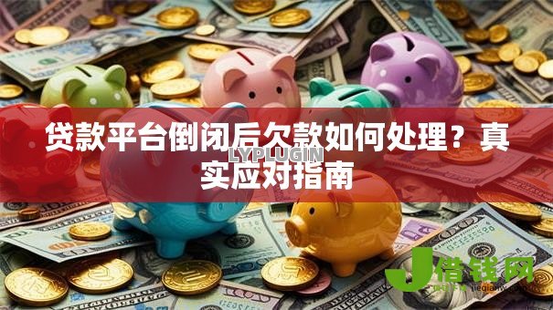 贷款平台倒闭后欠款如何处理？真实应对指南