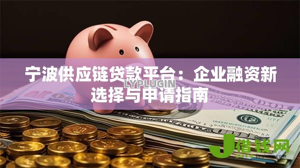 宁波供应链贷款平台：企业融资新选择与申请指南