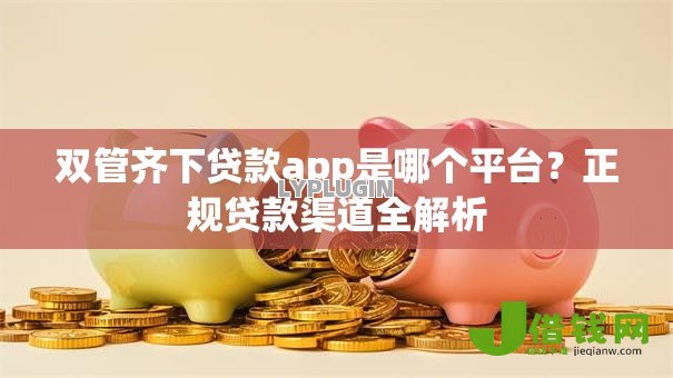 双管齐下贷款app是哪个平台？正规贷款渠道全解析
