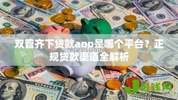 双管齐下贷款app是哪个平台？正规贷款渠道全解析