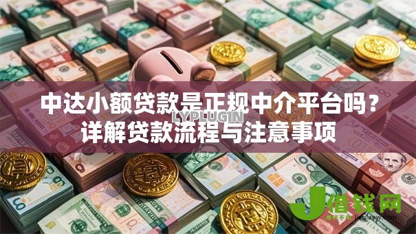 中达小额贷款是正规中介平台吗？详解贷款流程与注意事项