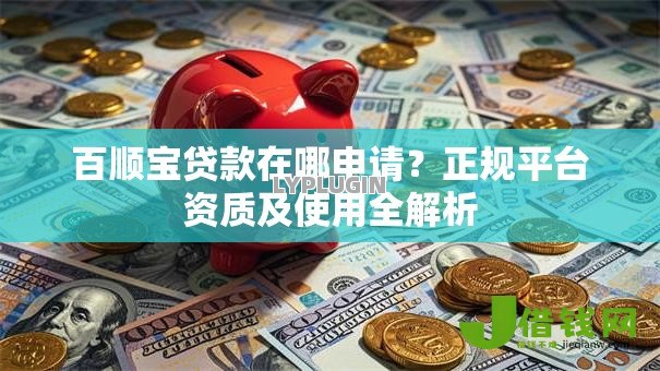 百顺宝贷款在哪申请？正规平台资质及使用全解析