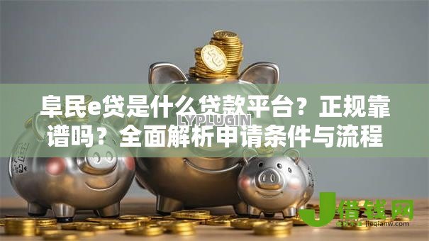 阜民e贷是什么贷款平台？正规靠谱吗？全面解析申请条件与流程