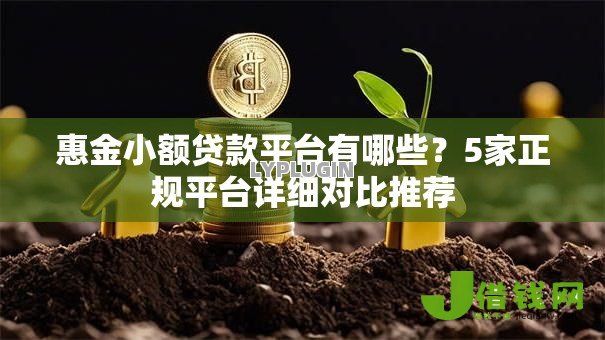 惠金小额贷款平台有哪些？5家正规平台详细对比推荐