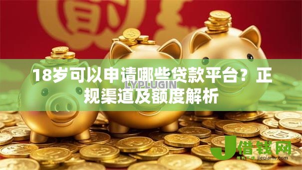 18岁可以申请哪些贷款平台?正规渠道及额度解析 18岁可以申请哪些贷款平台?正规渠道及额度解析