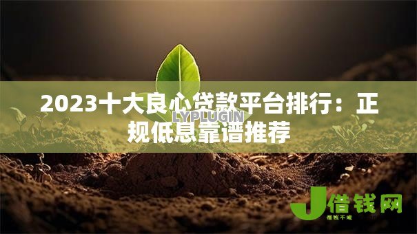 2023十大良心贷款平台排行:正规低息靠谱推荐 2023十大良心贷款平台排行:正规低息靠谱推荐