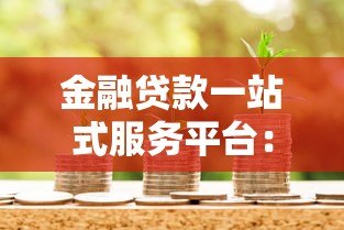 金融贷款一站式服务平台：省时省力的贷款解决方案