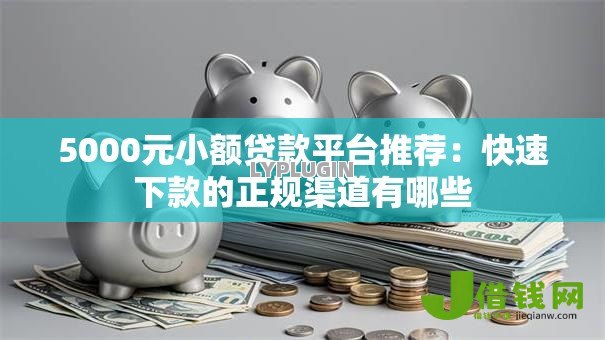 5000元小额贷款平台推荐：快速下款的正规渠道有哪些