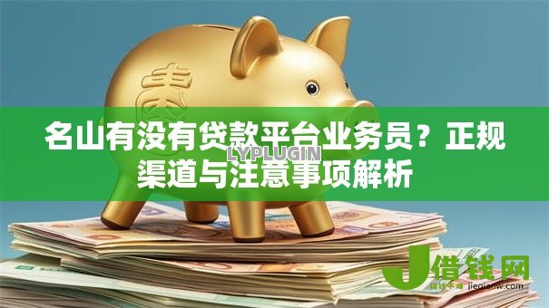 名山有没有贷款平台业务员?正规渠道与注意事项解析 名山有没有贷款平台业务员?正规渠道与注意事项解析