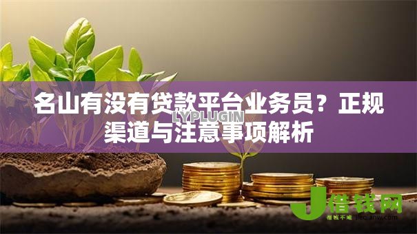 名山有没有贷款平台业务员?正规渠道与注意事项解析 名山有没有贷款平台业务员?正规渠道与注意事项解析