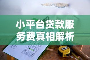 小平台贷款服务费真相解析:这些费用你必须知道 小平台贷款服务费真相解析:这些费用你必须知道