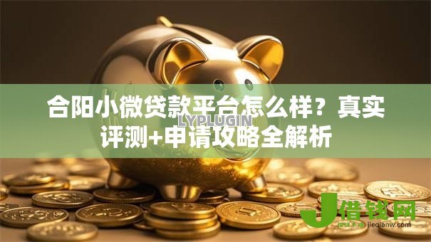 合阳小微贷款平台怎么样?真实评测+申请攻略全解析 合阳小微贷款平台怎么样?真实评测+申请攻略全解析