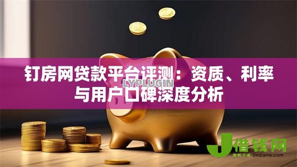 钉房网贷款平台评测：资质、利率与用户口碑深度分析