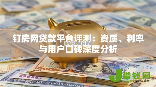 钉房网贷款平台评测：资质、利率与用户口碑深度分析