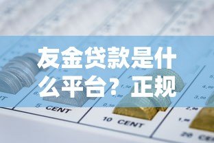 友金贷款是什么平台？正规靠谱的网贷选择指南