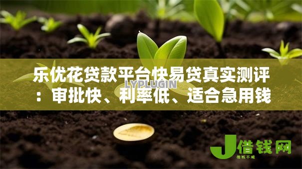 乐优花贷款平台快易贷真实测评:审批快、利率低、适合急用钱 乐优花贷款平台快易贷真实测评:审批快、利率低、适合急用钱