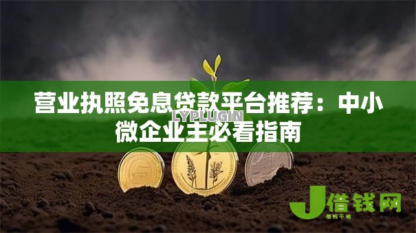 营业执照免息贷款平台推荐：中小微企业主必看指南