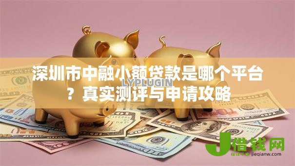 深圳市中融小额贷款是哪个平台?真实测评与申请攻略 深圳市中融小额贷款是哪个平台?真实测评与申请攻略