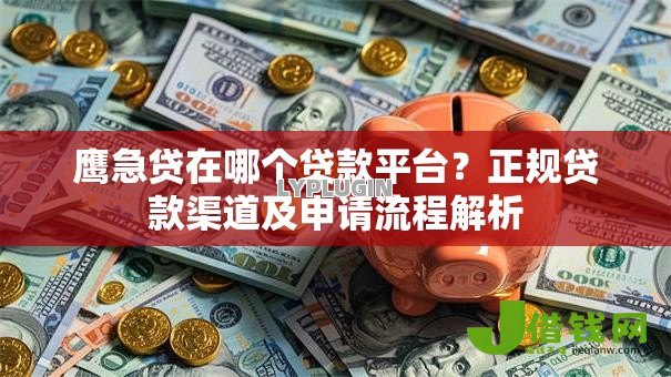 鹰急贷在哪个贷款平台？正规贷款渠道及申请流程解析