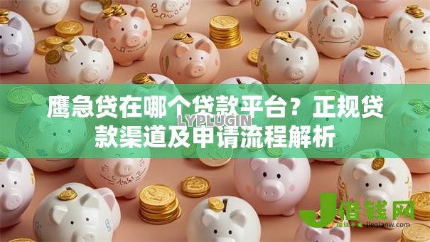 鹰急贷在哪个贷款平台？正规贷款渠道及申请流程解析