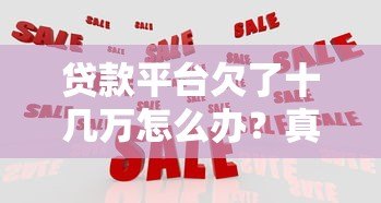 贷款平台欠了十几万怎么办?真实应对策略解析 贷款平台欠了十几万怎么办?真实应对策略解析