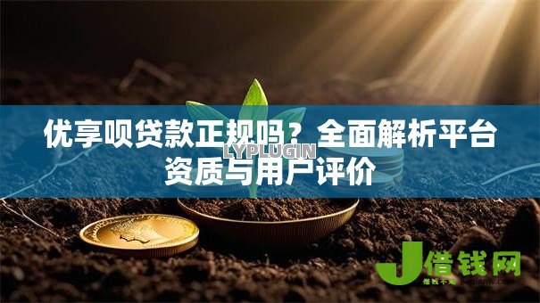 优享呗贷款正规吗？全面解析平台资质与用户评价