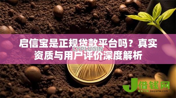 启信宝是正规贷款平台吗?真实资质与用户评价深度解析 启信宝是正规贷款平台吗?真实资质与用户评价深度解析