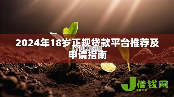 2024年18岁正规贷款平台推荐及申请指南 2024年18岁正规贷款平台推荐及申请指南