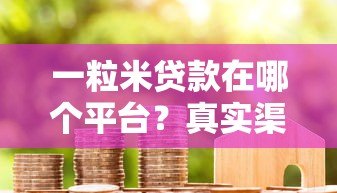 一粒米贷款在哪个平台?真实渠道解析及使用指南 一粒米贷款在哪个平台?真实渠道解析及使用指南