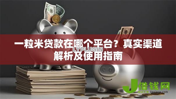 一粒米贷款在哪个平台?真实渠道解析及使用指南 一粒米贷款在哪个平台?真实渠道解析及使用指南