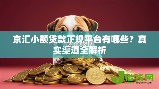 京汇小额贷款正规平台有哪些？真实渠道全解析