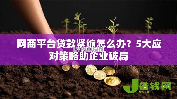 网商平台贷款紧缩怎么办?5大应对策略助企业破局 网商平台贷款紧缩怎么办?5大应对策略助企业破局