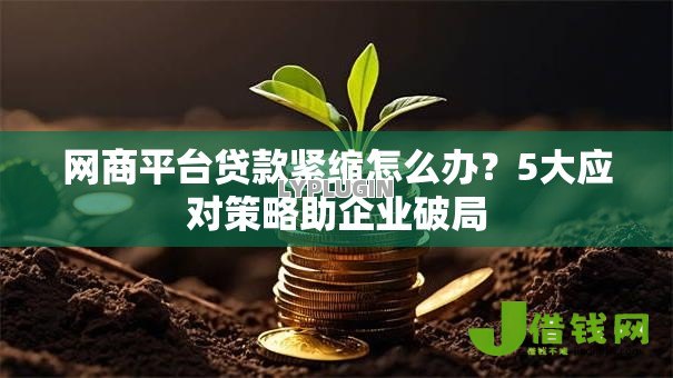 网商平台贷款紧缩怎么办?5大应对策略助企业破局 网商平台贷款紧缩怎么办?5大应对策略助企业破局