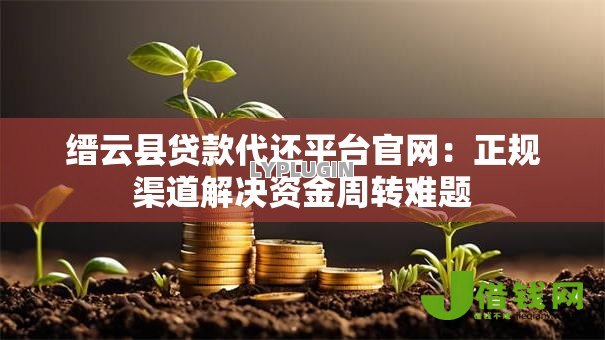 缙云县贷款代还平台官网：正规渠道解决资金周转难题