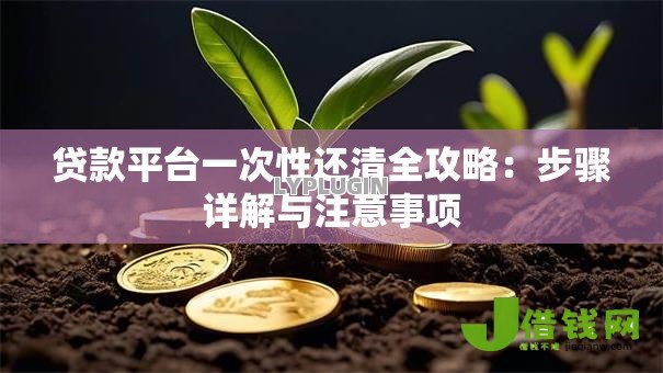 贷款平台一次性还清全攻略：步骤详解与注意事项