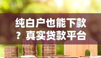 纯白户也能下款?真实贷款平台推荐及技巧 纯白户也能下款?真实贷款平台推荐及技巧