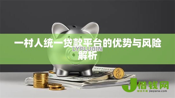 一村人统一贷款平台的优势与风险解析 一村人统一贷款平台的优势与风险解析